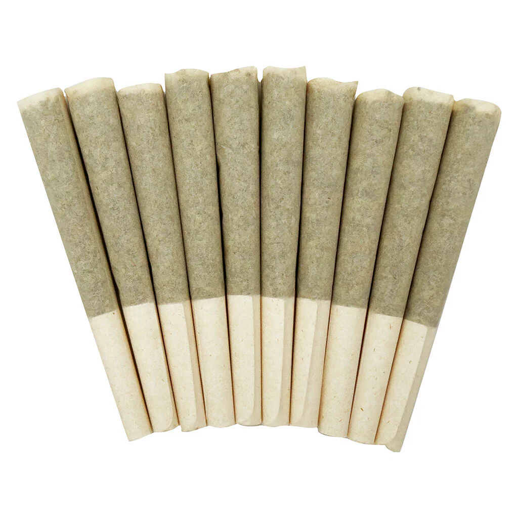 Préroulés Storm Indica