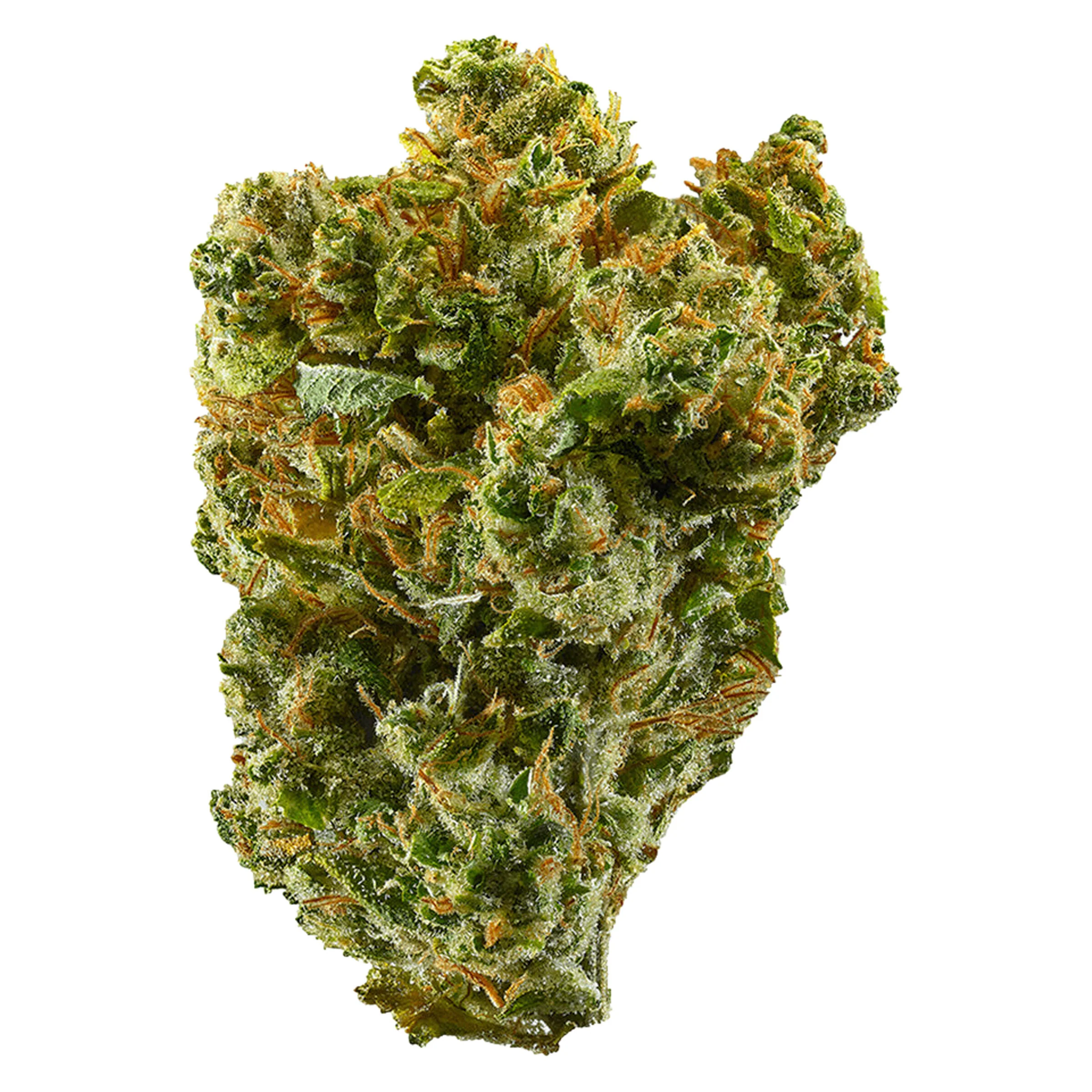 Super Silver Haze