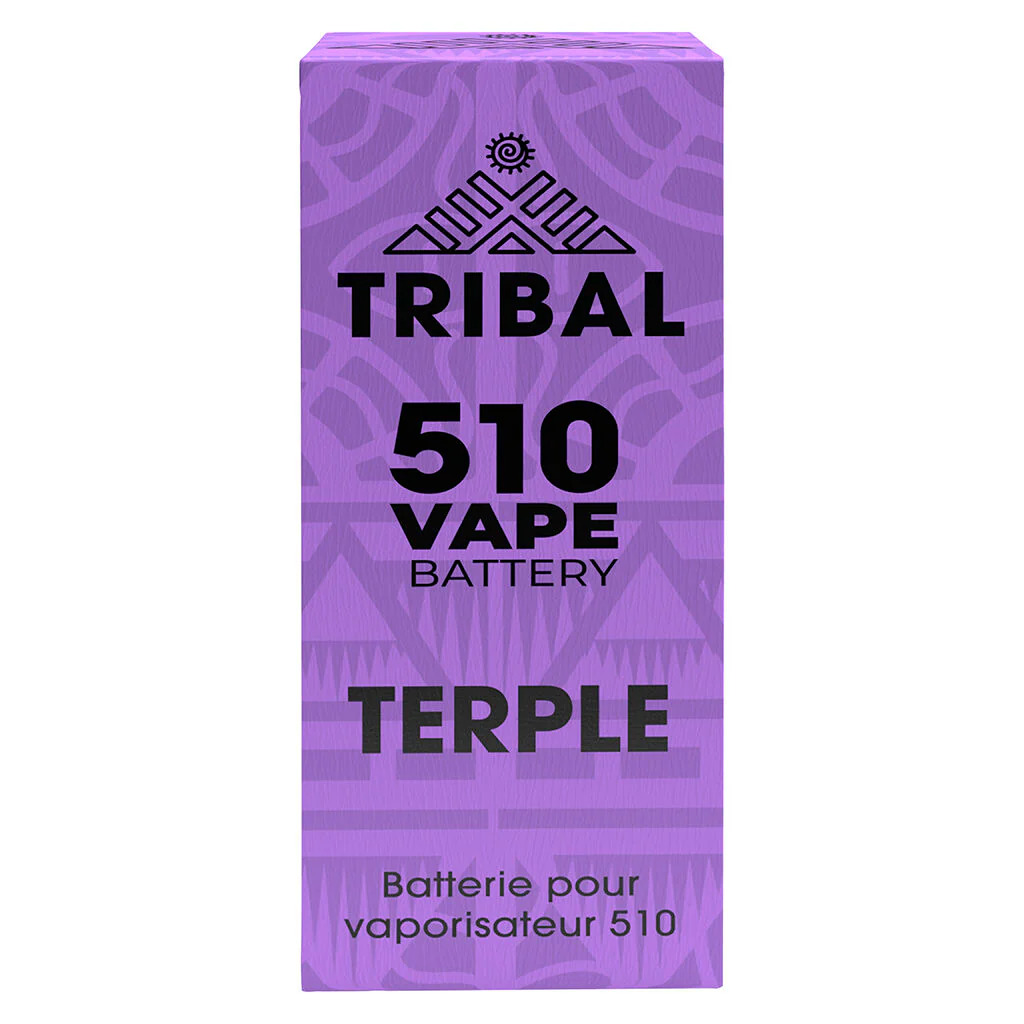 Terple 510 Vape Battery - Image 2