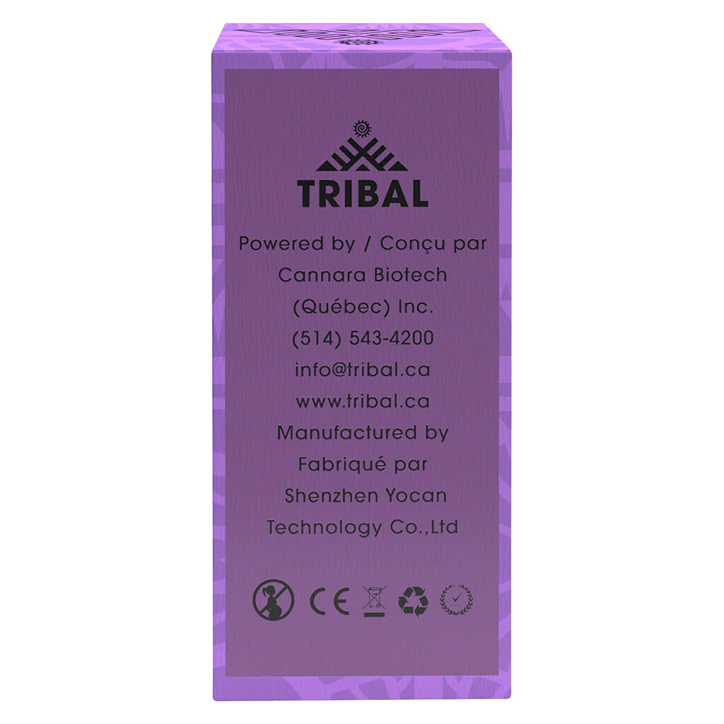 Terple 510 Vape Battery - Image 3