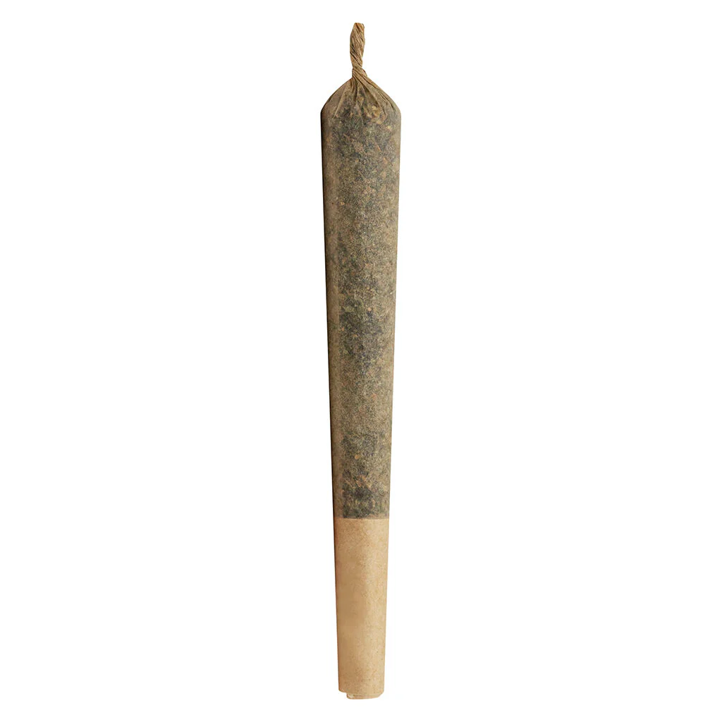 The Jeffrey Pre-Roll - Image 3