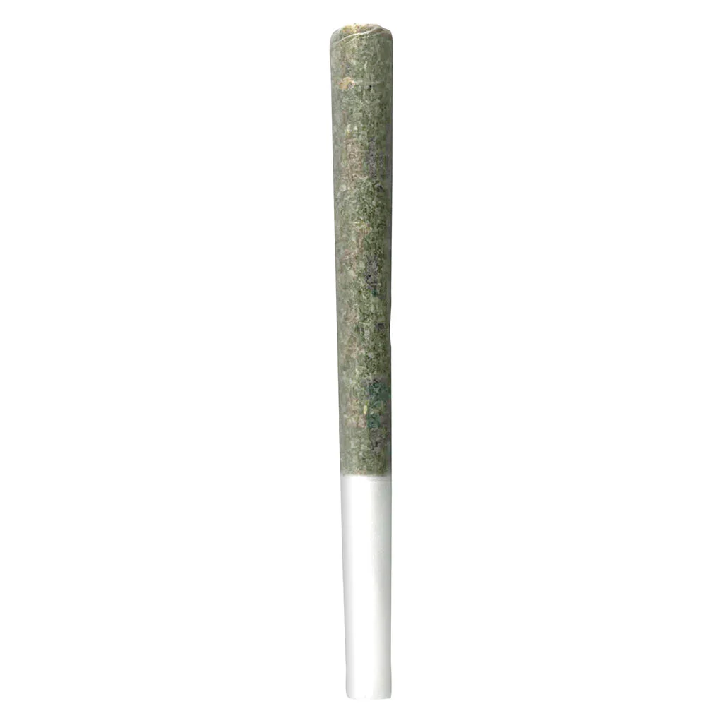 The Penny Puffer Pre-Roll