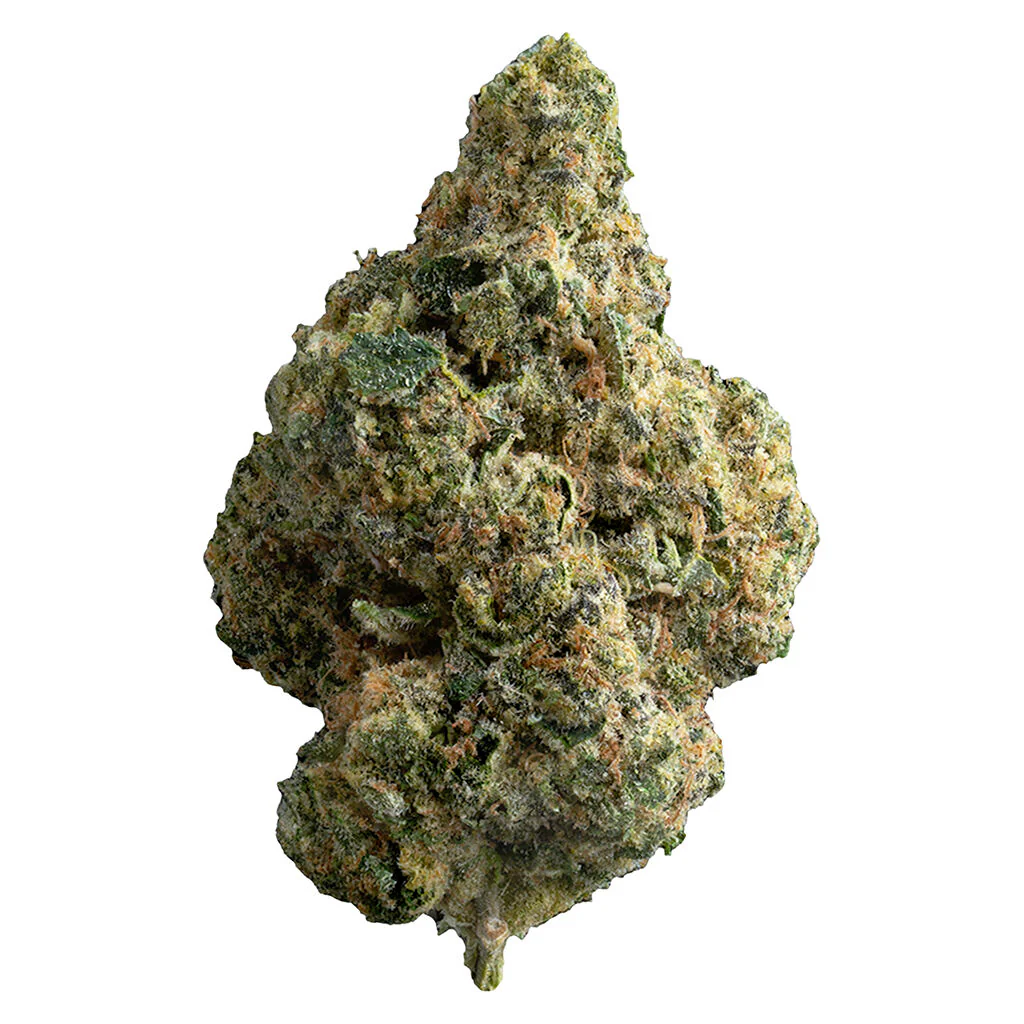 The Republic Reserve 25 Plus - Image 3
