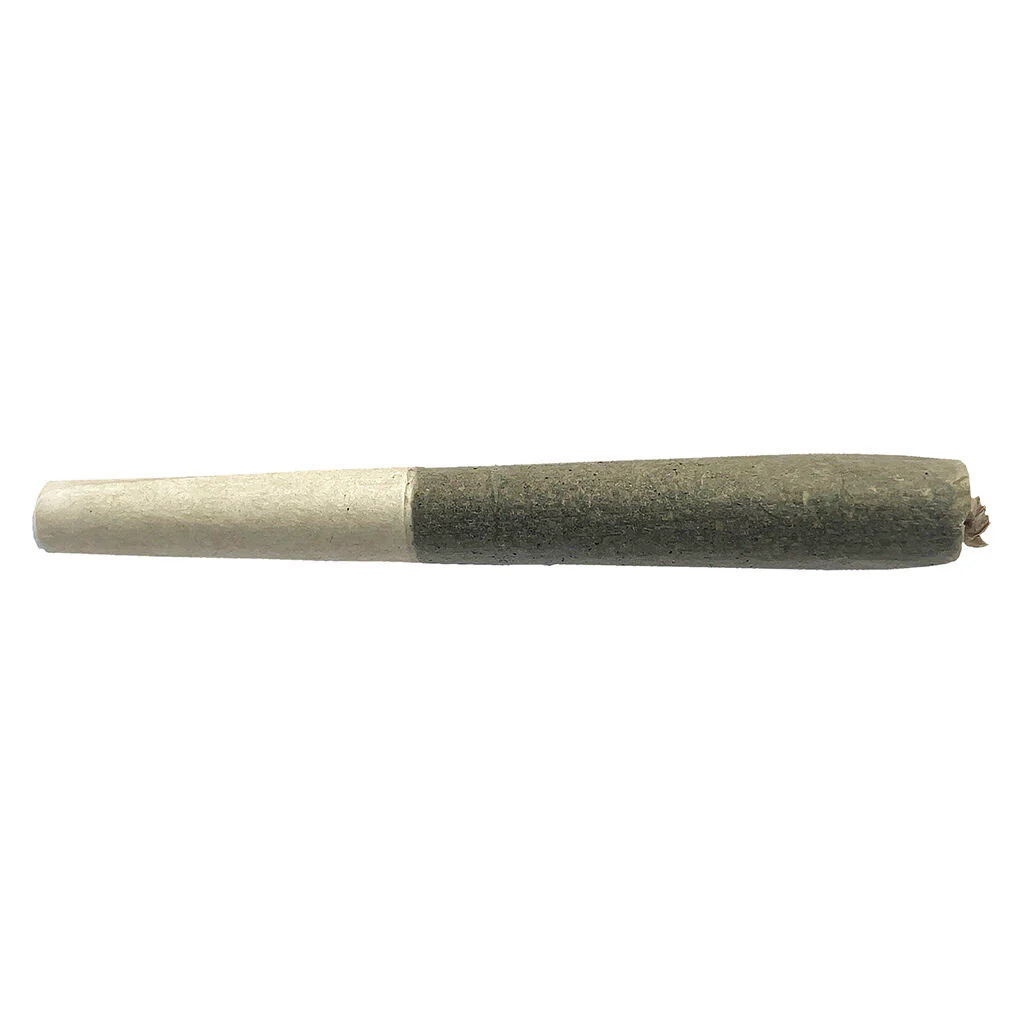 Préroulé The Twisted Indica