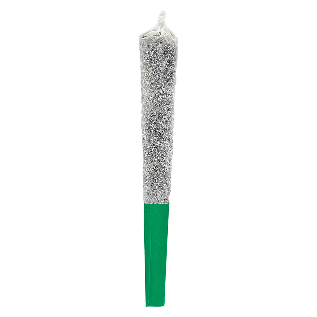 Préroulé infusé Watermelon Ice